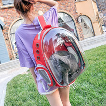 Pet Transparent Cat Carrier Backpack Puppy Kitty Breathable Carriers for Travel Capsule Backpack, Travel, Hiking and Outdoor for Puppies & Cats