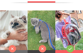Pet Transparent Cat Carrier Backpack Puppy Kitty Breathable Carriers for Travel Capsule Backpack, Travel, Hiking and Outdoor for Puppies & Cats