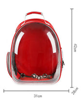 Pet Transparent Cat Carrier Backpack Puppy Kitty Breathable Carriers for Travel Capsule Backpack, Travel, Hiking and Outdoor for Puppies & Cats