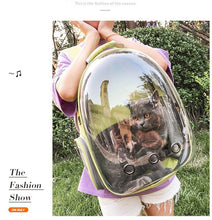 Pet Transparent Cat Carrier Backpack Puppy Kitty Breathable Carriers for Travel Capsule Backpack, Travel, Hiking and Outdoor for Puppies & Cats