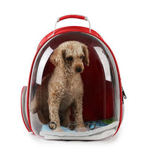 Pet Transparent Cat Carrier Backpack Puppy Kitty Breathable Carriers for Travel Capsule Backpack, Travel, Hiking and Outdoor for Puppies & Cats