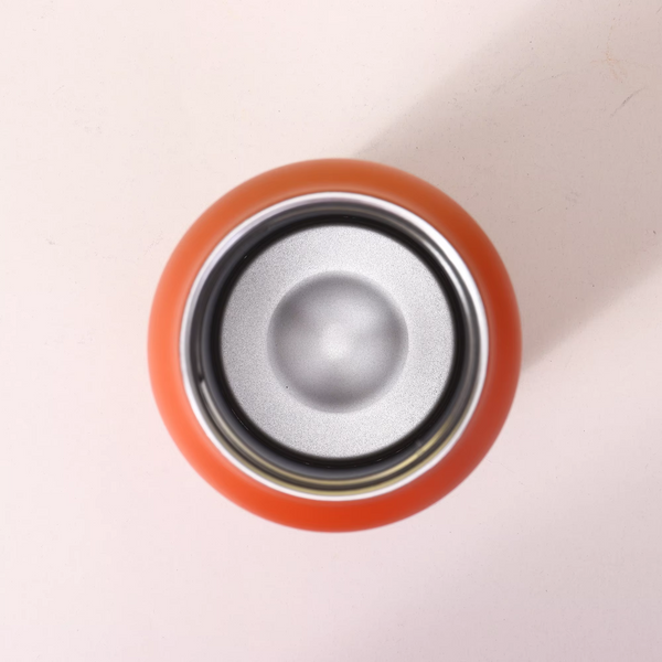 Insulated Water Bottle