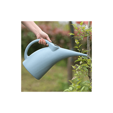 Oncarnival Long Spout Watering Can for Indoor and Outdoor Plants (2L)