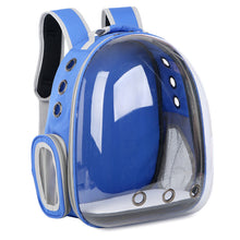 Pet Transparent Cat Carrier Backpack Puppy Kitty Breathable Carriers for Travel Capsule Backpack, Travel, Hiking and Outdoor for Puppies & Cats