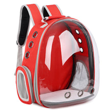 Pet Transparent Cat Carrier Backpack Puppy Kitty Breathable Carriers for Travel Capsule Backpack, Travel, Hiking and Outdoor for Puppies & Cats