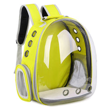 Pet Transparent Cat Carrier Backpack Puppy Kitty Breathable Carriers for Travel Capsule Backpack, Travel, Hiking and Outdoor for Puppies & Cats